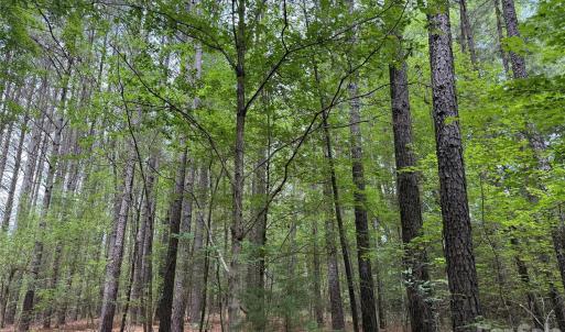Photo #14 of Herbert Faucette, Bullock, NC