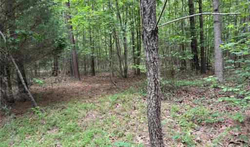 Photo #16 of Herbert Faucette, Bullock, NC