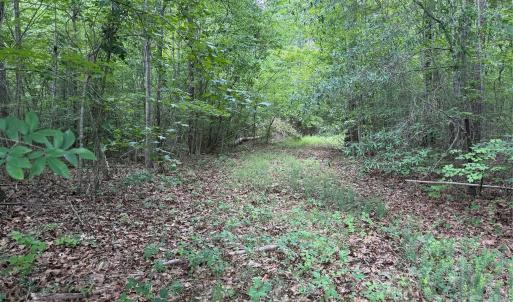 Photo #28 of Herbert Faucette, Bullock, NC