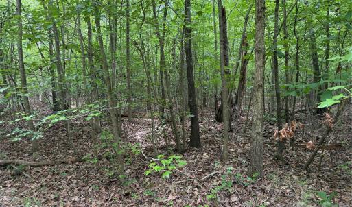 Photo #7 of Herbert Faucette, Bullock, NC