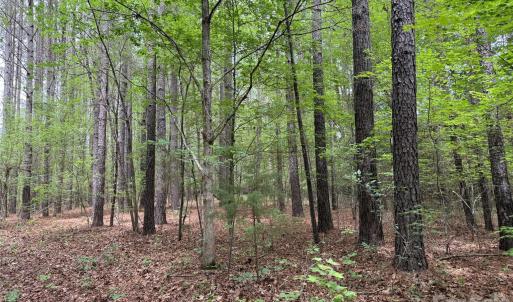 Photo #3 of Herbert Faucette, Bullock, NC