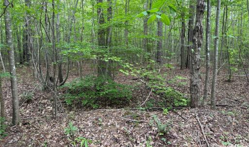 Photo #21 of Herbert Faucette, Bullock, NC