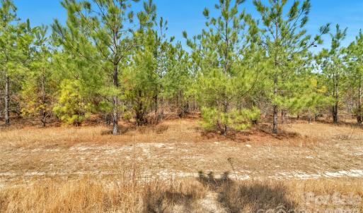 Photo #25 of 931 Charlie Johnson, Kershaw, SC