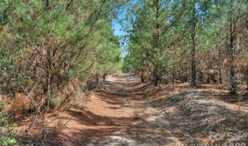 Photo #8 of 931 Charlie Johnson, Kershaw, SC