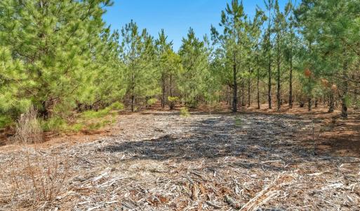 Photo #27 of 931 Charlie Johnson, Kershaw, SC