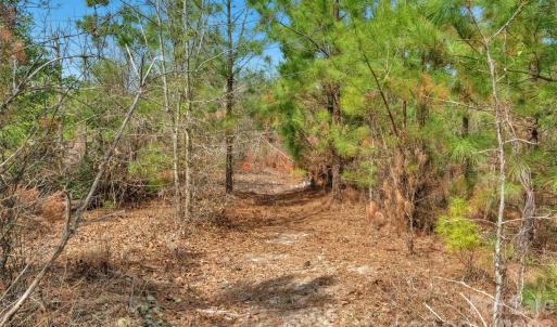 Photo #24 of 931 Charlie Johnson, Kershaw, SC