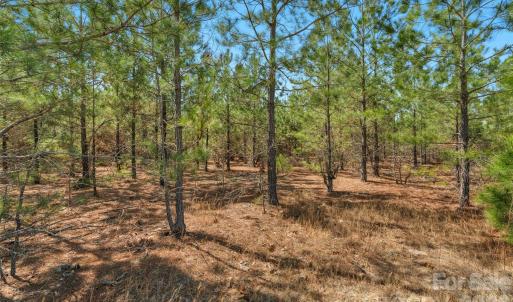 Photo #15 of 931 Charlie Johnson, Kershaw, SC