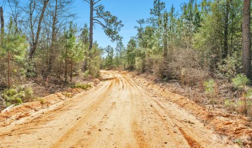 Photo #34 of 931 Charlie Johnson, Kershaw, SC