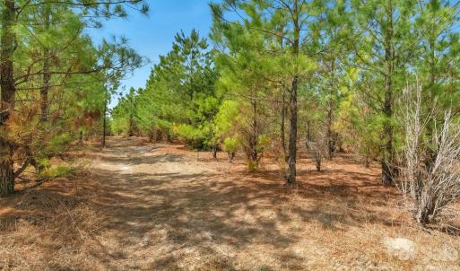Photo #26 of 931 Charlie Johnson, Kershaw, SC