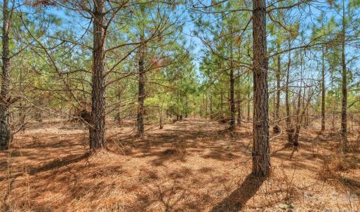 Photo #19 of 931 Charlie Johnson, Kershaw, SC