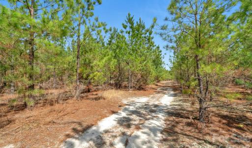 Photo #30 of 931 Charlie Johnson, Kershaw, SC