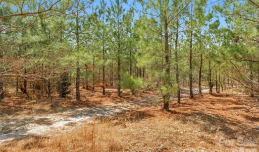Photo #28 of 931 Charlie Johnson, Kershaw, SC