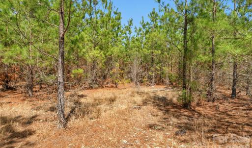 Photo #26 of 931 Charlie Johnson, Kershaw, SC