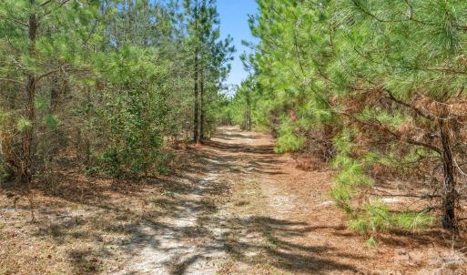Photo #24 of 931 Charlie Johnson, Kershaw, SC