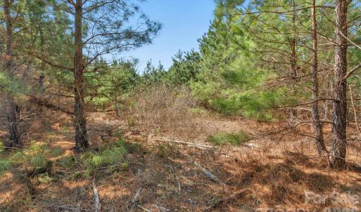 Photo #22 of 931 Charlie Johnson, Kershaw, SC