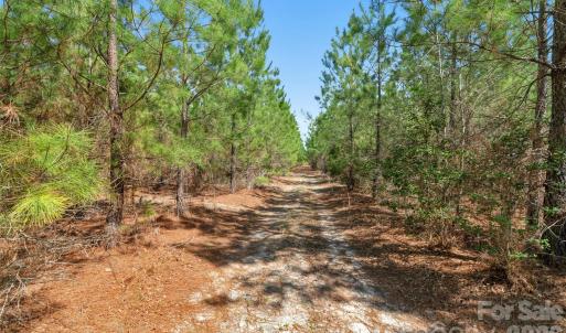 Photo #23 of 931 Charlie Johnson, Kershaw, SC
