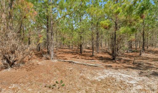 Photo #18 of 931 Charlie Johnson, Kershaw, SC