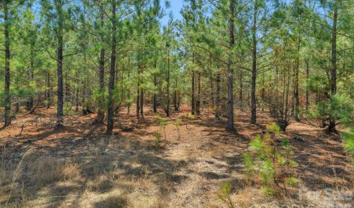 Photo #10 of 931 Charlie Johnson, Kershaw, SC
