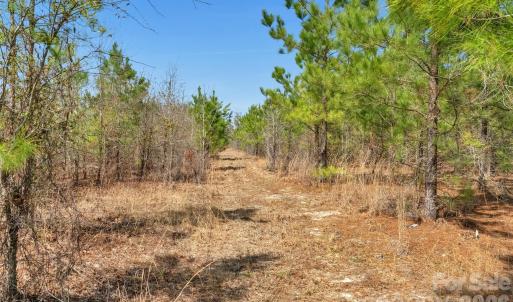 Photo #33 of 931 Charlie Johnson, Kershaw, SC