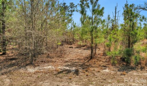 Photo #29 of 931 Charlie Johnson, Kershaw, SC