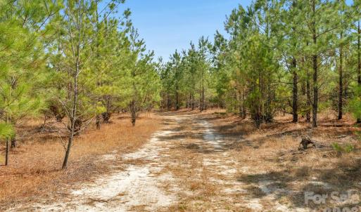 Photo #25 of 931 Charlie Johnson, Kershaw, SC