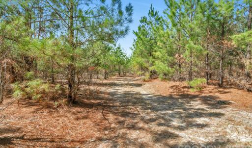 Photo #9 of 931 Charlie Johnson, Kershaw, SC