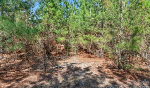 Photo #16 of 931 Charlie Johnson, Kershaw, SC