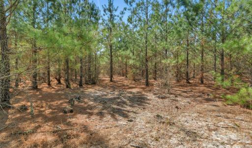 Photo #19 of 931 Charlie Johnson, Kershaw, SC