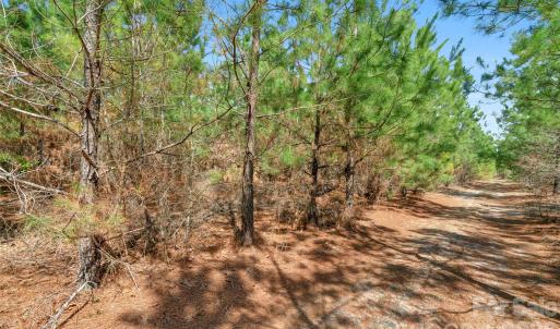 Photo #20 of 931 Charlie Johnson, Kershaw, SC