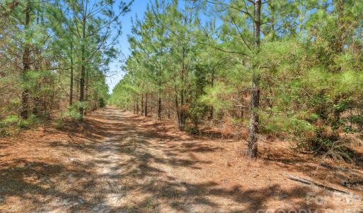 Photo #11 of 931 Charlie Johnson, Kershaw, SC