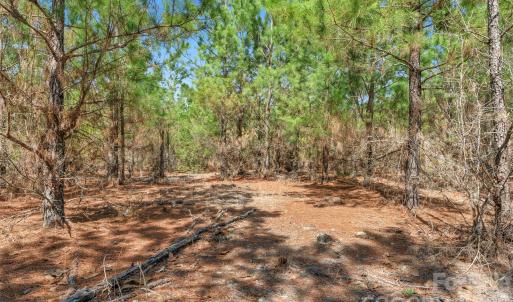 Photo #27 of 931 Charlie Johnson, Kershaw, SC