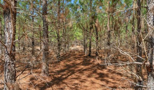 Photo #21 of 931 Charlie Johnson, Kershaw, SC