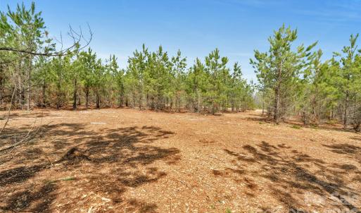 Photo #12 of 931 Charlie Johnson, Kershaw, SC