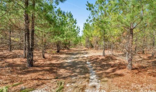 Photo #17 of 931 Charlie Johnson, Kershaw, SC