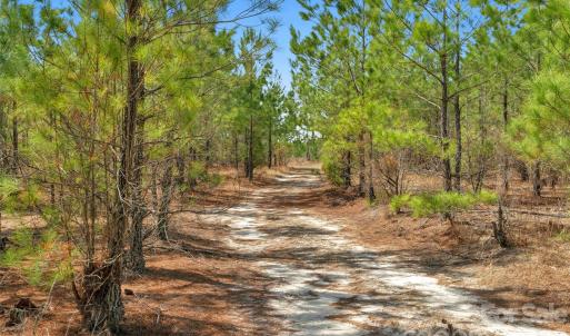 Photo #31 of 931 Charlie Johnson, Kershaw, SC