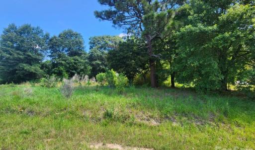Photo #12 of 1950 Holbrook, Fort Mill, SC