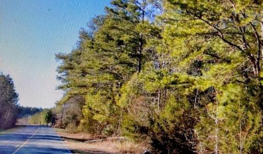 Photo #3 of 1220 Long Pine Church, Peachland, NC