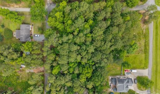Photo #2 of Rose, Indian Trail, NC