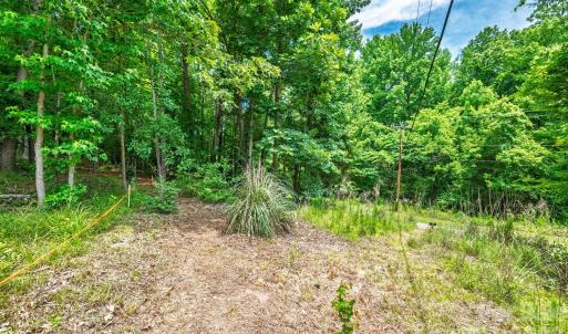 Photo #3 of 229 Ballard, Fort Mill, SC