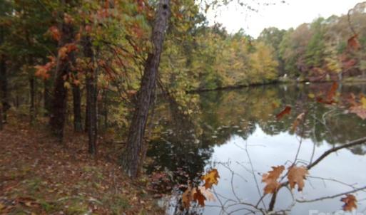 Photo #12 of 627 Bolick, Fort Mill, SC