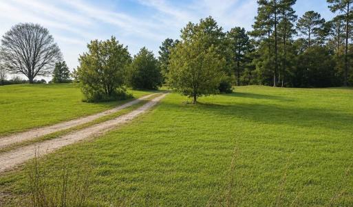 Photo #2 of 678 Old Stage, Edgefield, SC