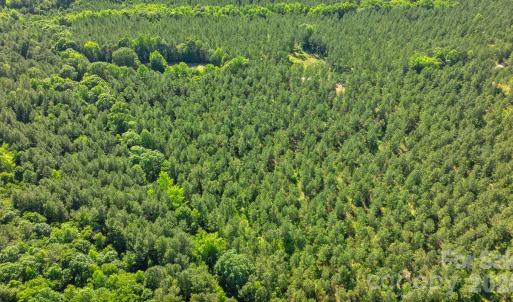 Photo #16 of Peacehaven, McConnells, SC
