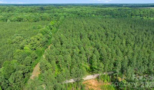 Photo #45 of Peacehaven, McConnells, SC