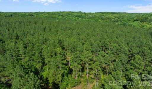 Photo #28 of Peacehaven, McConnells, SC