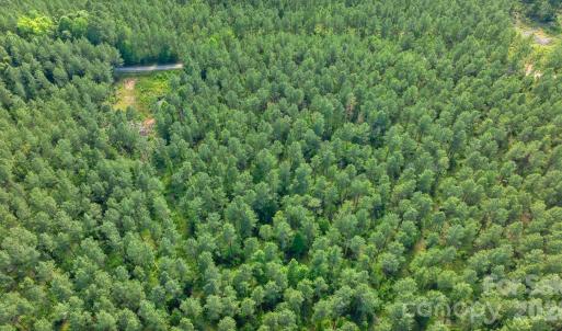Photo #37 of Peacehaven, McConnells, SC