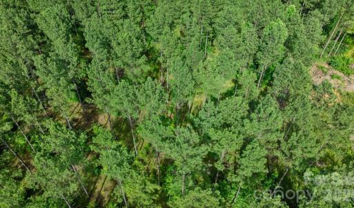 Photo #41 of Peacehaven, McConnells, SC