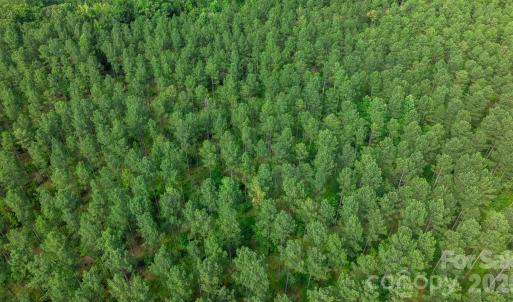 Photo #40 of Peacehaven, McConnells, SC