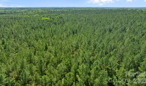 Photo #23 of Peacehaven, McConnells, SC