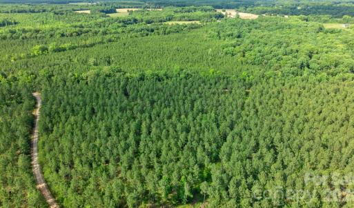 Photo #47 of Peacehaven, McConnells, SC