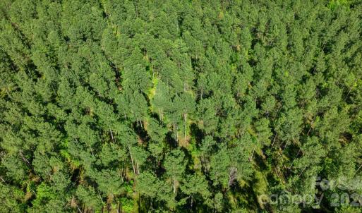 Photo #29 of Peacehaven, McConnells, SC